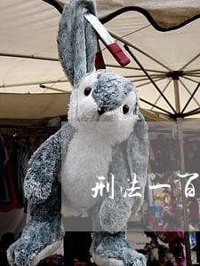 刑法一百九十三条最新解释 刑法一百九十三条最新解释