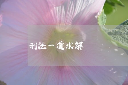刑法一道求解 刑法一道求解