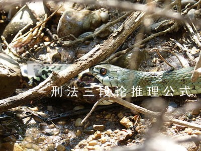 刑法三段论推理公式