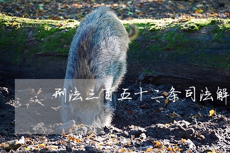 刑法三百五十二条司法解释