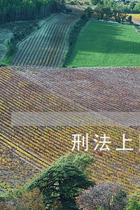 刑法上因果关系的作用 刑法上因果关系的作用