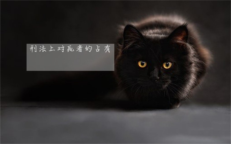 刑法上对死者的占有 刑法上对死者的占有