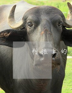 刑法上的产品责任问题探析 刑法上的产品责任问题探析