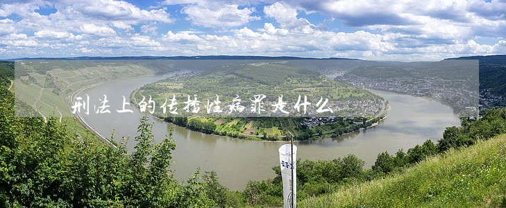 刑法上的传播性病罪是什么 刑法上的传播性病罪是什么