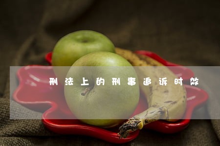 刑法上的刑事追诉时效 刑法上的刑事追诉时效