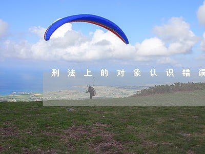 刑法上的对象认识错误 刑法上的对象认识错误