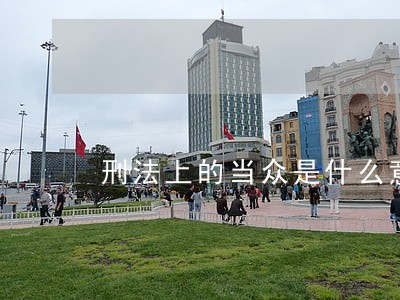 刑法上的当众是什么意思 刑法上的当众是什么意思