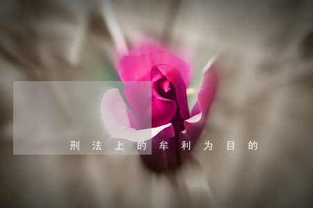 刑法上的牟利为目的 刑法上的牟利为目的