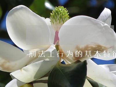 刑法上行为的基本特征是什么
