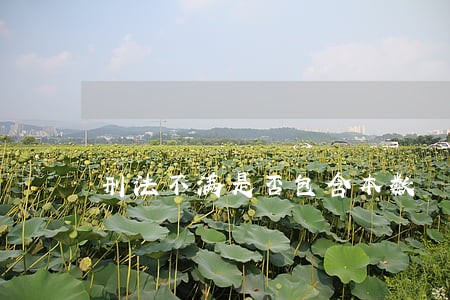刑法不满是否包含本数 刑法不满是否包含本数