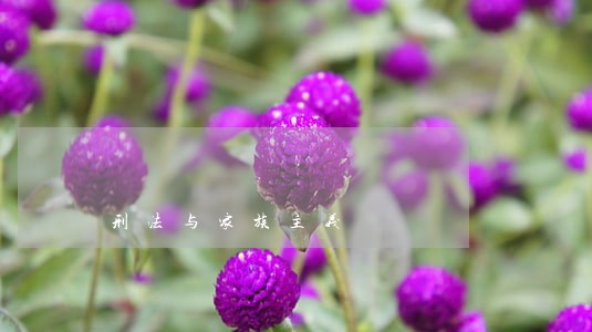 刑法与家族主义 刑法与家族主义