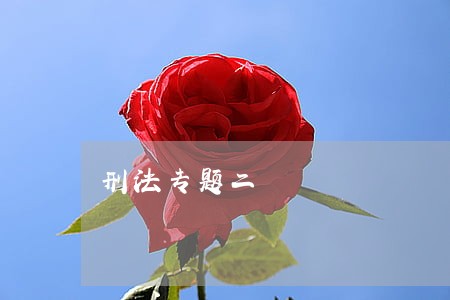 刑法专题二 刑法专题二