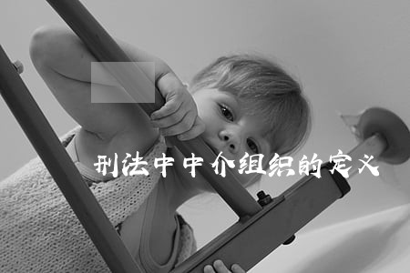 刑法中中介组织的定义 刑法中中介组织的定义