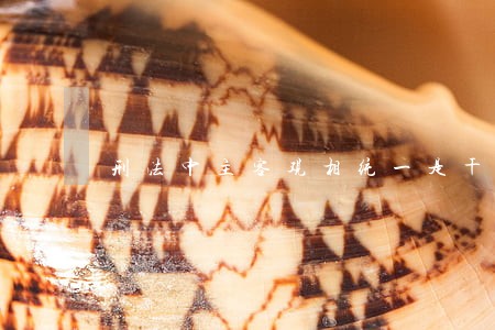 刑法中主客观相统一是干什么的 刑法中主客观相统一是干什么的