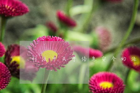 刑法中关于信息安全的法律规定 刑法中关于信息安全的法律规定