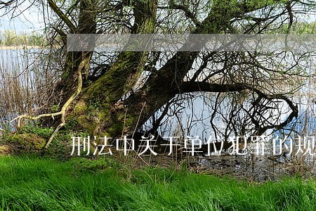 刑法中关于单位犯罪的规定是什么