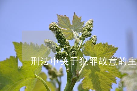 刑法中关于犯罪故意的主观认识 刑法中关于犯罪故意的主观认识
