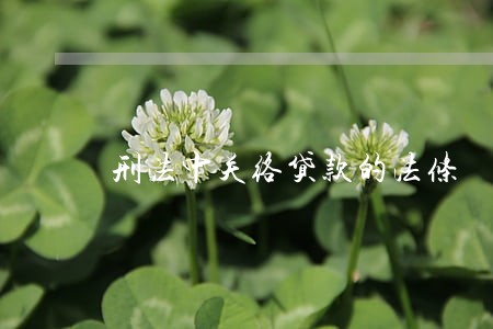 刑法中关络贷款的法条 刑法中关络贷款的法条