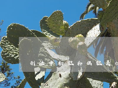 刑法中初犯和偶犯是什么意思 刑法中初犯和偶犯是什么意思
