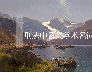 刑法中各类学术名词 刑法中各类学术名词