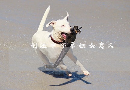 刑法中怀孕妇女定义 刑法中怀孕妇女定义