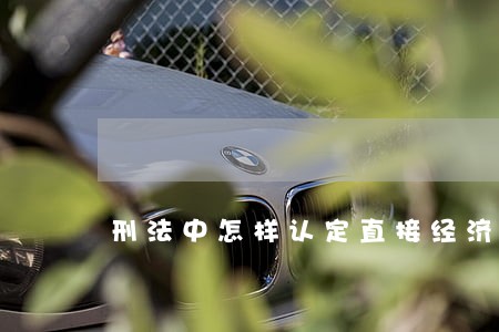 刑法中怎样认定直接经济损失