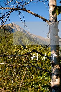 刑法中涉及信息安全 刑法中涉及信息安全
