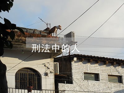 刑法中的人 刑法中的人