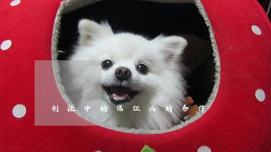 刑法中的保证人的条件 刑法中的保证人的条件