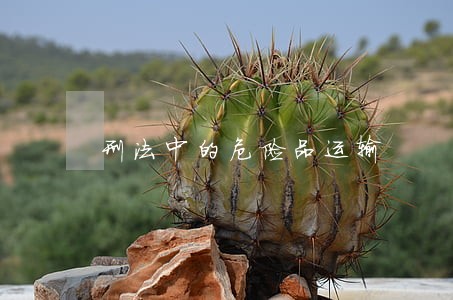 刑法中的危险品运输