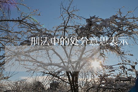 刑法中的处分意思表示