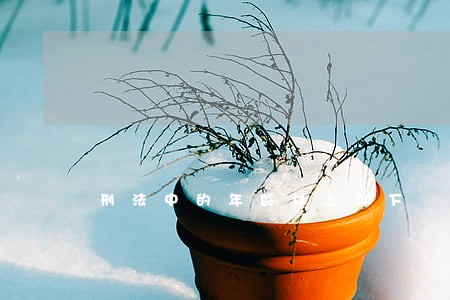 刑法中的年龄以上以下