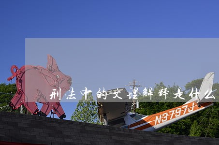 刑法中的文理解释是什么意思 刑法中的文理解释是什么意思