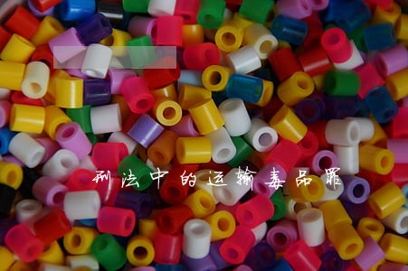 刑法中的运输毒品罪