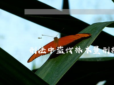 刑法中盗伐林木量刑档次是什么 刑法中盗伐林木量刑档次是什么