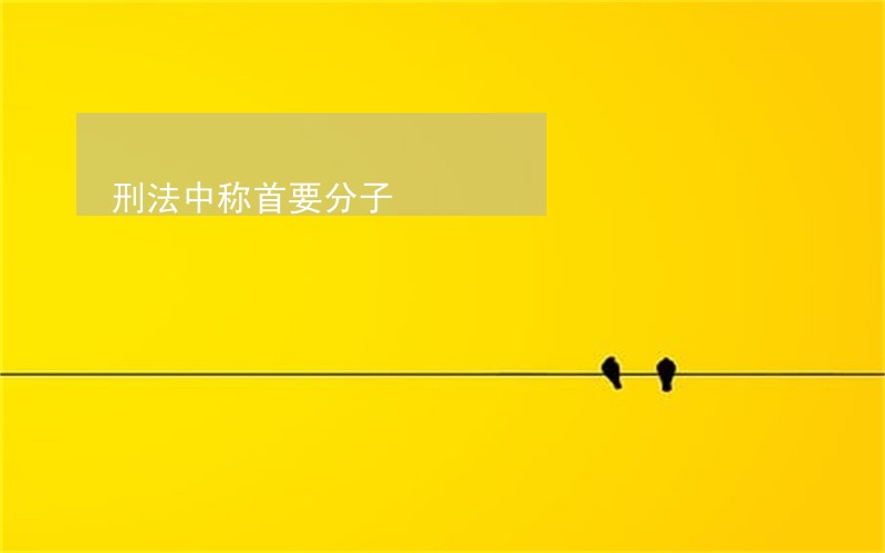 刑法中称首要分子