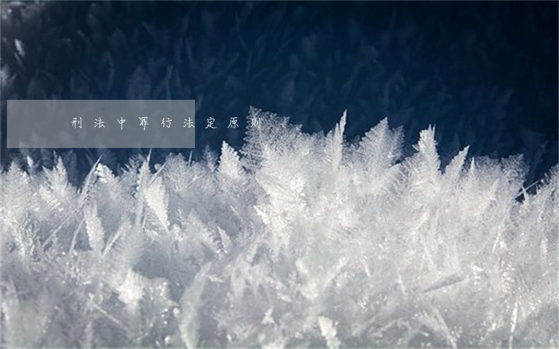 刑法中罪行法定原则 刑法中罪行法定原则