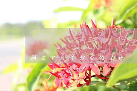 刑法中自首坦白的法条 刑法中自首坦白的法条