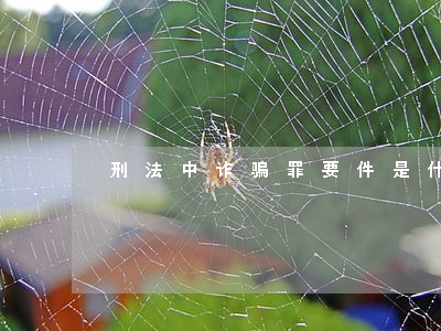 刑法中诈骗罪要件是什么 刑法中诈骗罪要件是什么