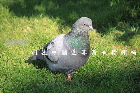 刑法中赠送算商业行贿吗 刑法中赠送算商业行贿吗