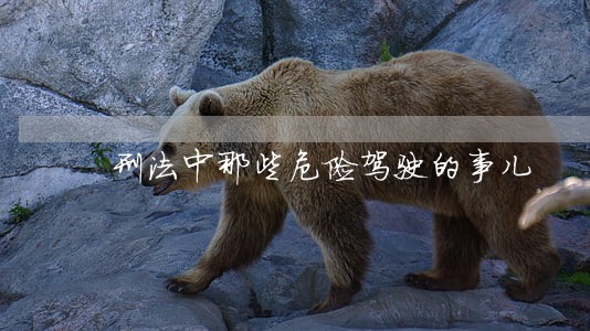 刑法中那些危险驾驶的事儿 刑法中那些危险驾驶的事儿