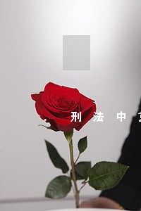 刑法中重大案件的标准