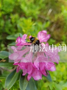 刑法中间接损失的法律规定 刑法中间接损失的法律规定