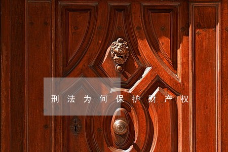 刑法为何保护财产权 刑法为何保护财产权