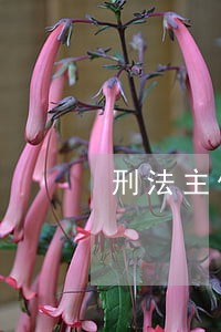 刑法主体客体 刑法主体客体