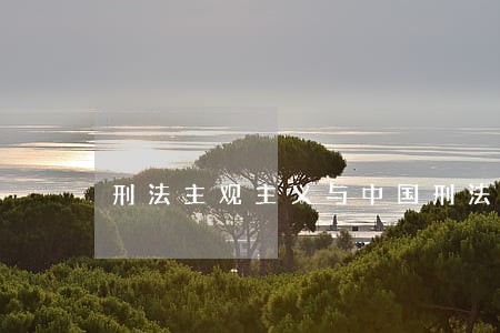 刑法主观主义与中国刑法 刑法主观主义与中国刑法
