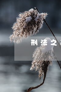 刑法之基本原则 刑法之基本原则