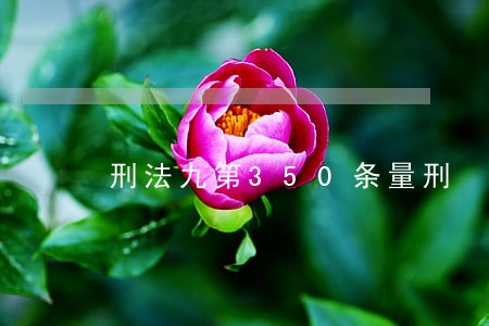 刑法九第350条量刑