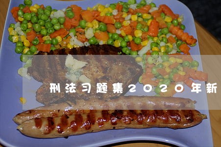 刑法习题集2020年新款 刑法习题集2020年新款