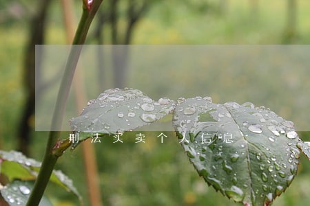 刑法买卖个人信息
